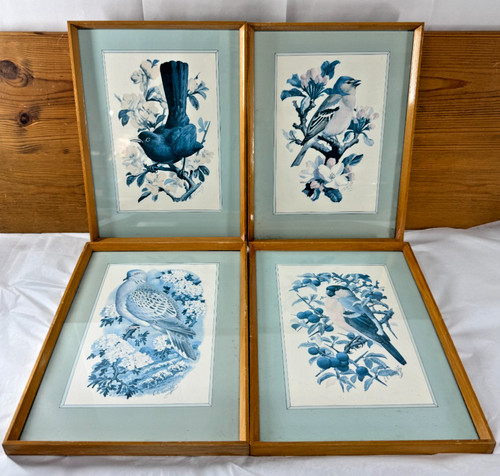 Vintage tunnicliffe framed - cf,