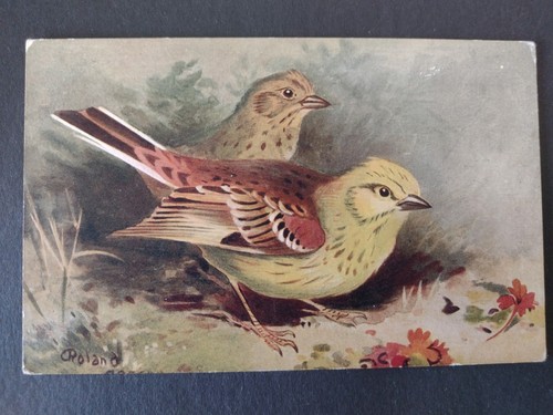 Bird postcard yellow - bird, hammers