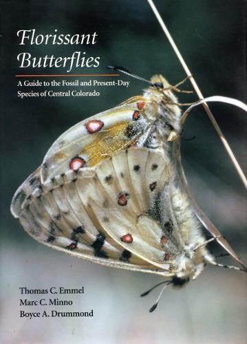 Florissant butterflies - florissant, by