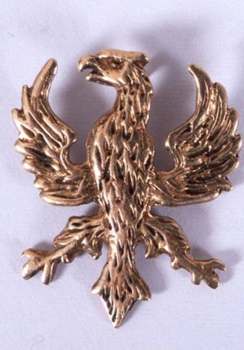 Irish republican phoenix badge - irish,