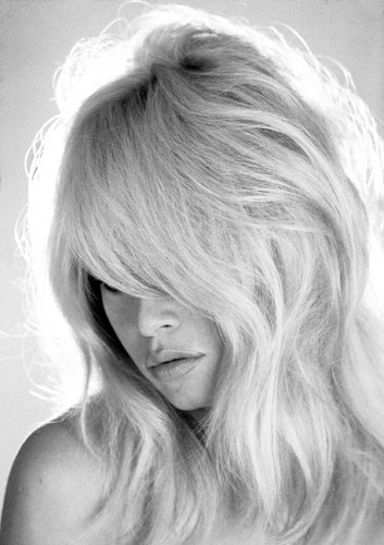Brigitte bardot monochrome - bardot,