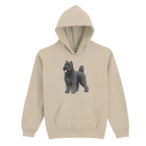 Bouvier des flandres - flandres, dog