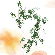 Faux Eucalyptus Stems