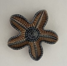 Wade ceramic starfish trinket