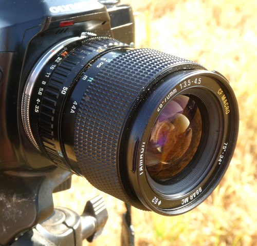 Olympus mount tamron - mount, tele