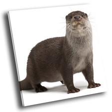 Square Animal Photo Canvas Wall Art Picture Prints Otter Cute Grey White Cool