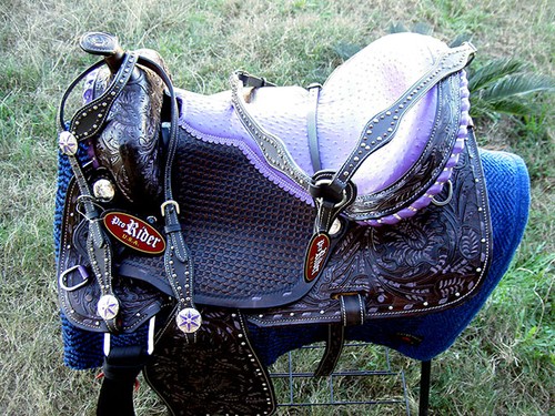 Horse western barrel show - horse,