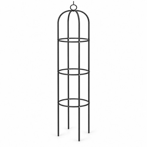 Garden obelisk climbing - garden,