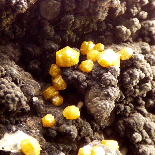 Campylite crystals dry - campylite,