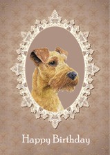 IRISH TERRIER DOG BEAUTIFUL
