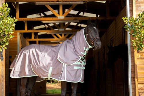 Horse pony cotton summer - horse, sheet