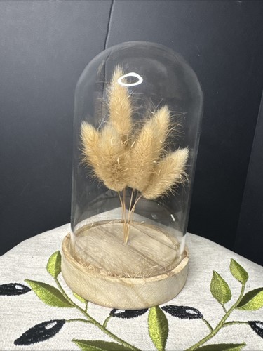 Wood base glass - , dried