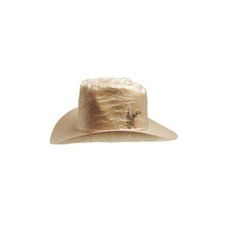 Western Hat Cover Clear Vinyl