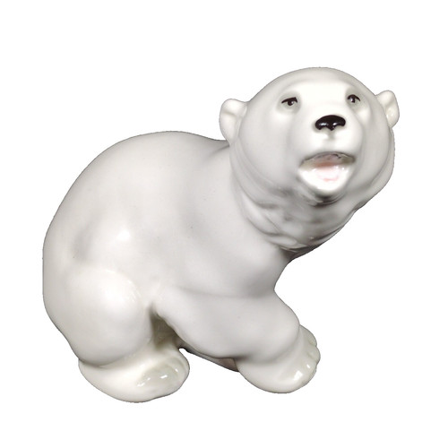 Russian lomonosov polar bear - russian,