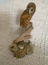 Aynsley Master craft Barn Owl