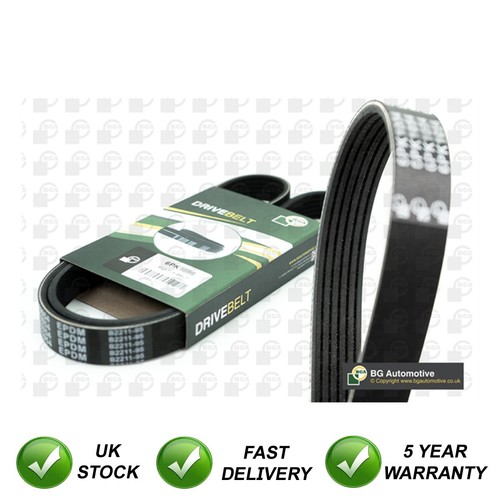 Drive belt sjr - belt, ford