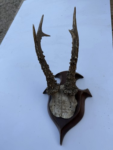 Wall mounted roe - wall,