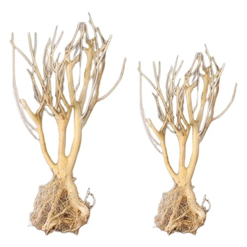 Aquarium driftwood root - aquarium,