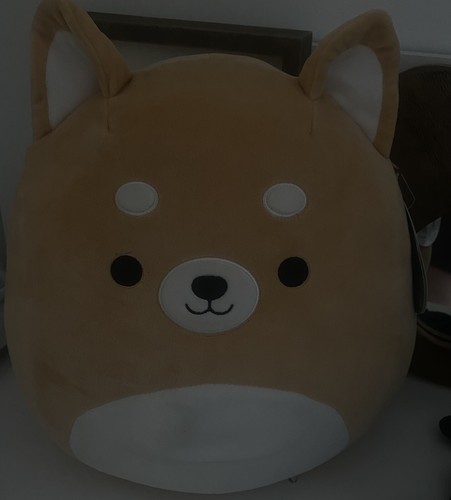 Angie corgi squishmallow - corgi,