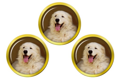 Kuvasz dog golf - kuvasz,