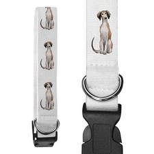 'Saluki Puppy' Dog Collars (PR046327)