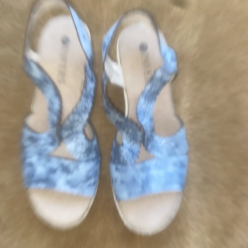 Pavers ladies size blue - pavers,