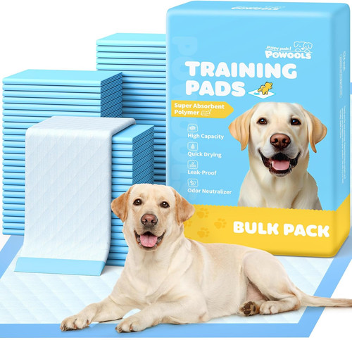 Extra large puppy - large, pads