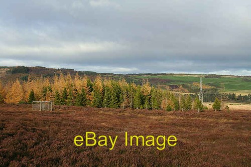 Photo 6x4 larsen trap - photo, a