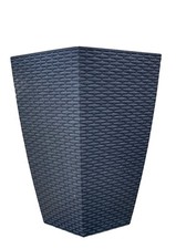 Grey tall square plant - tall,