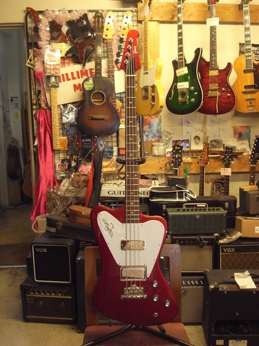 Gibson thunderbird non reverse - gibson,
