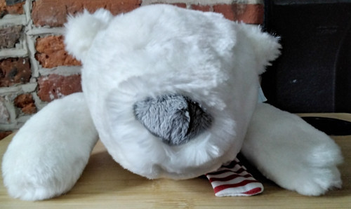 Fluffy polar bear - bear, water