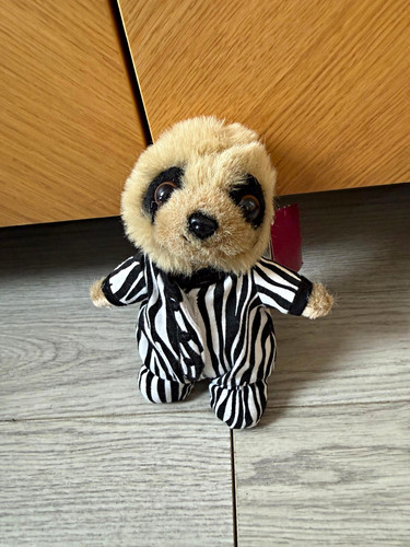 Safari oleg meerkat - safari, soft