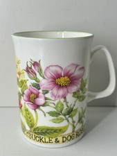 Rose of England Honeysuckle