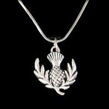 ~Scottish Thistle~ Flower