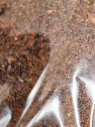 1kg molasses meal ground bait - ground,