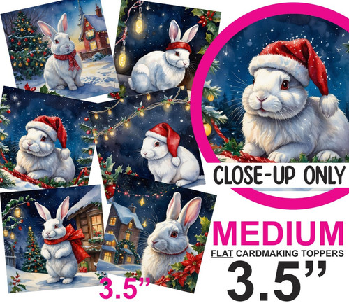 Christmas white rabbit card - christmas,
