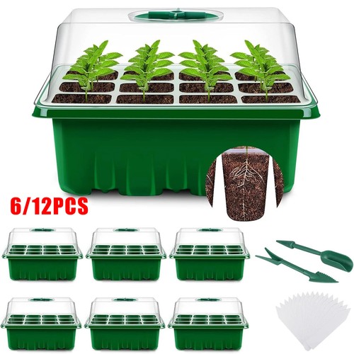 12x cells seedling - cells,