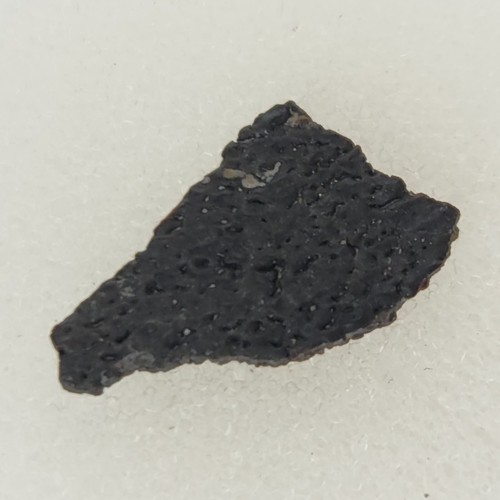 Hadrosaur egg shell - shell, fossil
