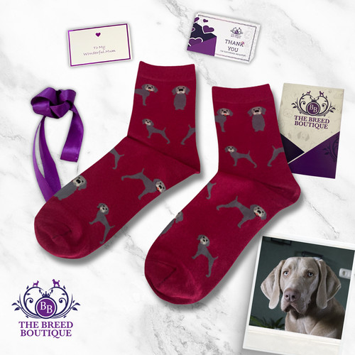 Weimaraner socks pairs - x,