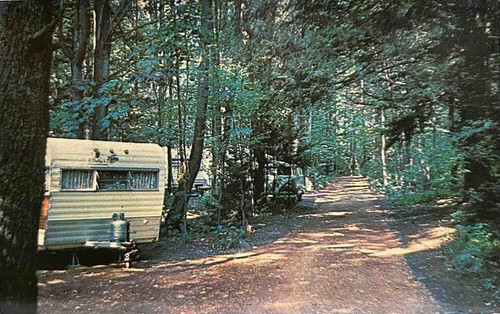 Twin grove campground pine - twin,
