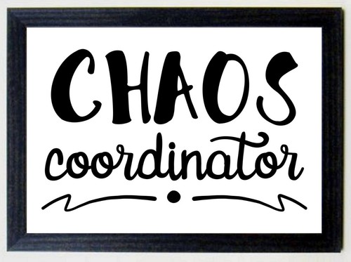 Chaos coordinator - chaos,