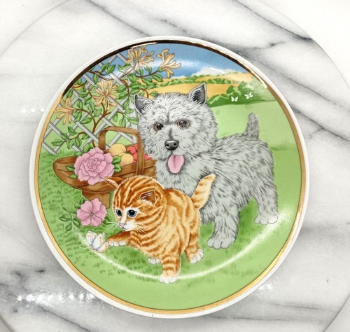 Cat and dog avon - dog,