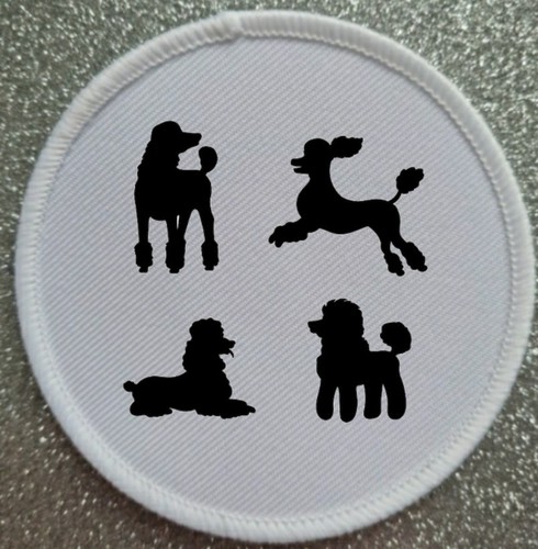 Inch poodle poodles - poodle,
