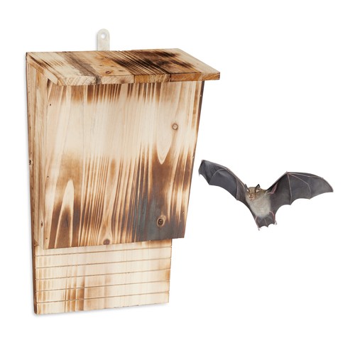 Bat box wildlife shelter - bat,
