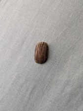 X2 X-Men United Screen Movie Prop Used Film TV COA sci-fi marvel