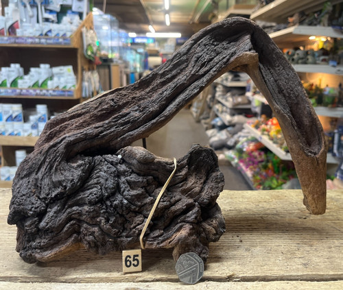 Large 46cm mopani - 27-46cm,