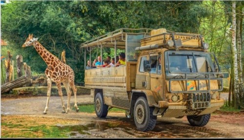 Tickets chessington world - 4,
