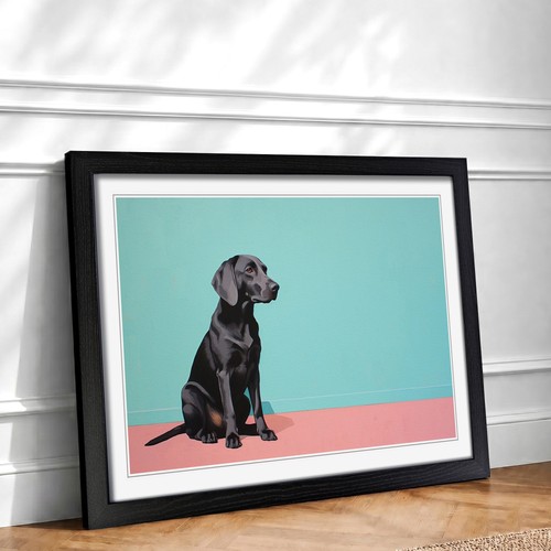 Labrador retriever dog - labrador,