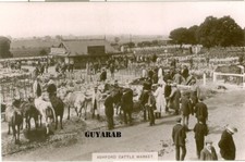 Ashford Cattle Market RP
