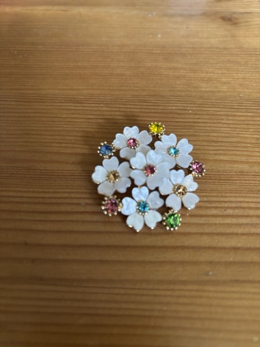Multi coloured stone daisy - multi,